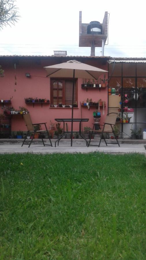 La Casita De Abu! Apartment Salta Bagian luar foto